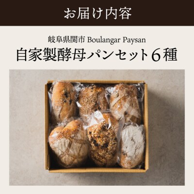 ペイザン自家製酵母セット 【配送不可地域:離島・一部山間部等】