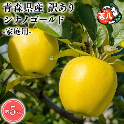 6月発送　訳あり　家庭用　甚八りんごシナノゴールド5kg　【マルジンサンアップル】