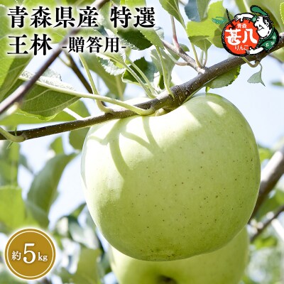 【5～6月発送】青森県産 特選 甚八りんご 王林 5kg クール便【マルジンサンアップル】
