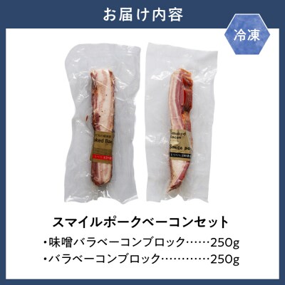 スマイルポークベーコンセット ブロック 計500gセット_tb02-020