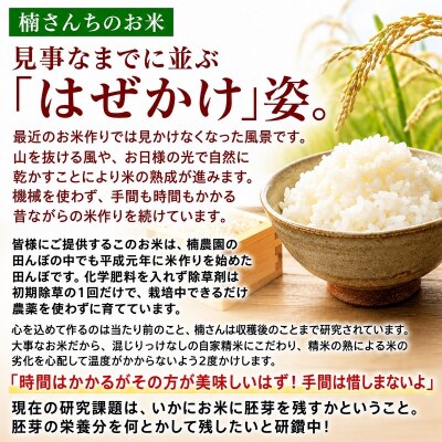 小川村自慢のはぜかけ米5キロ*365