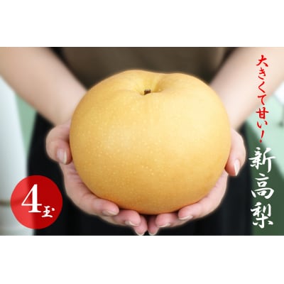 大きくて甘い　越知町の新高梨【約700g　4玉】フルーツ 果物 新鮮 産直