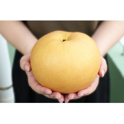 大きくて甘い　越知町の新高梨【約700g　6玉】フルーツ 果物 新鮮 産直