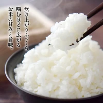 精米 10kg【令和8年産 コシヒカリ】ほたるの里八神集落