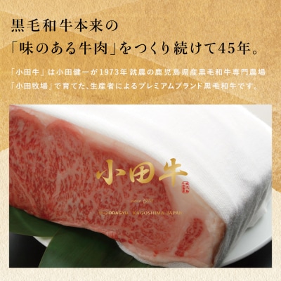 【全3回】プレミアムブランド「小田牛」定期便[加工品づくし]
