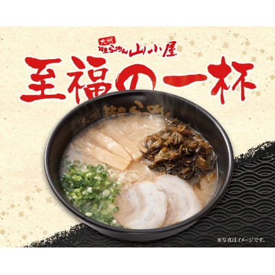九州筑豊ラーメン 高菜生ラーメンとんこつ10食セット