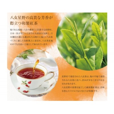 【訳あり】八女星野産 和紅茶2g×100個