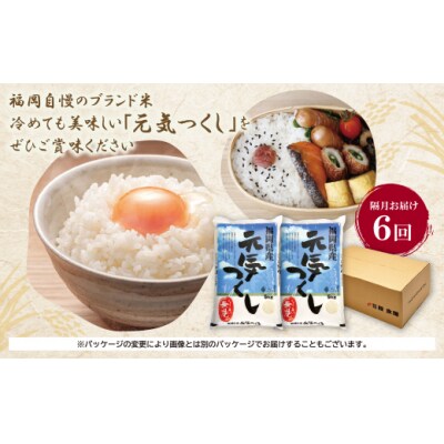 無洗米 福岡県産・元気つくし10kg定期便(隔月・年6回)