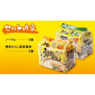【7営業日以内発送】うまかっちゃん 博多からし高菜・豚骨ラーメン食べ比べセット(5食×2)