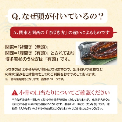 国産うなぎ蒲焼特大4尾(計800g以上)鰻蒲焼用タレ・山椒付