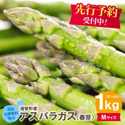 清流・有機肥料使用 アスパラガス(春芽) 1kg(M)