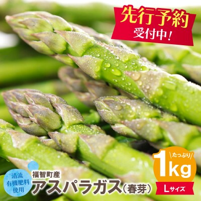 清流・有機肥料使用 アスパラガス(春芽) 1kg(L)