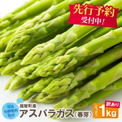 【訳あり】清流・有機肥料使用 アスパラガス(春芽) 1kg