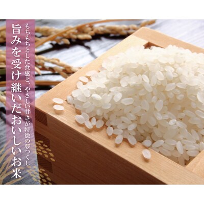 令和7年産 研ぐお米 夢つくし5kg