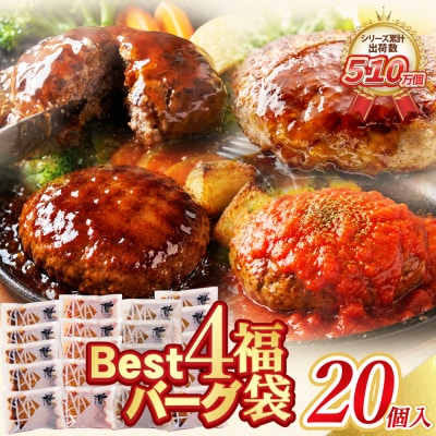 Best4バーグ ハンバーグ 20個セット(合挽4種 各5個)
