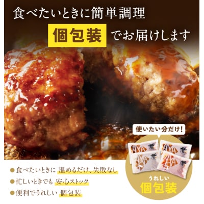 Best4バーグ ハンバーグ 20個セット(合挽4種 各5個)