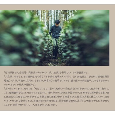 原田茶園 八女茶パウダー 160g