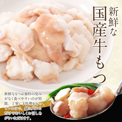 博多特選もつ鍋(10人前)(4パック小分け)(醤油味)