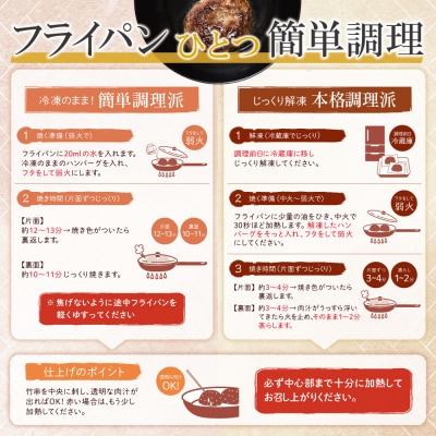 極生ハンバーグ 5個セット(150g×5) 