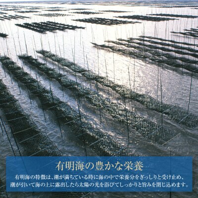 有明海産　味海苔　10切100枚　4本セット 合計400枚