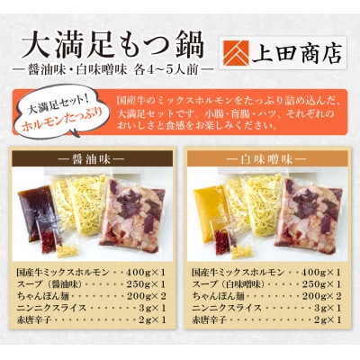 大満足もつ鍋(醤油味・白味噌味/各4～5人前)