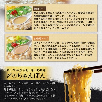 大満足もつ鍋(醤油味・白味噌味/各4～5人前)