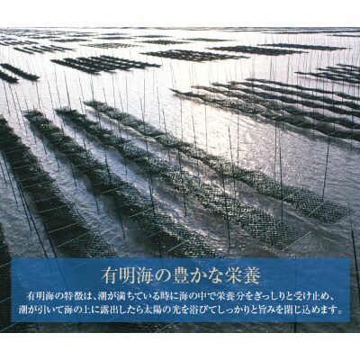有明海産 焼き海苔 ボトル4本(10切100枚×4本 計400枚)定期便(毎月×6回)