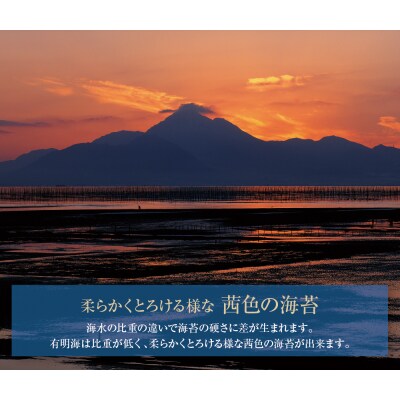 有明海産 焼き海苔 ボトル4本(10切100枚×4本 計400枚)定期便(毎月×6回)