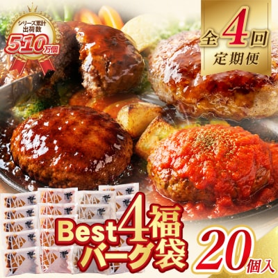 【4回定期便】Best4バーグ(デミグラスソース)20個【合挽4種・各5個】