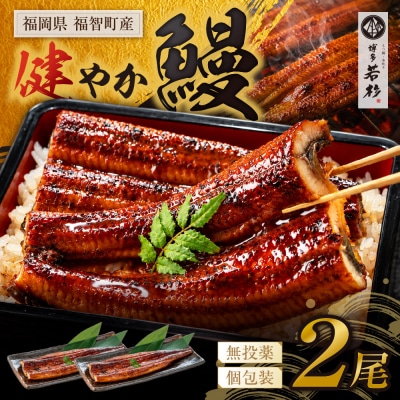 健やか鰻 国産うなぎ蒲焼(無頭)2尾(計310g以上)