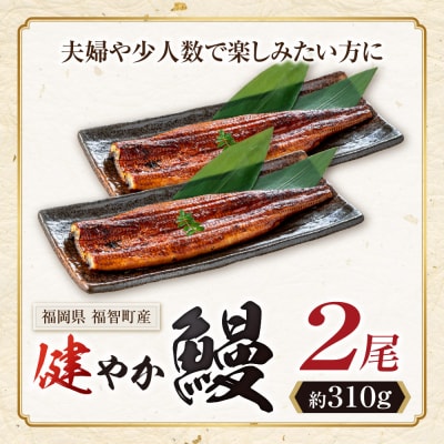 健やか鰻 国産うなぎ蒲焼(無頭)2尾(計310g以上)
