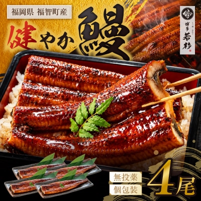 健やか鰻 国産うなぎ蒲焼(無頭)4尾(計620g以上)