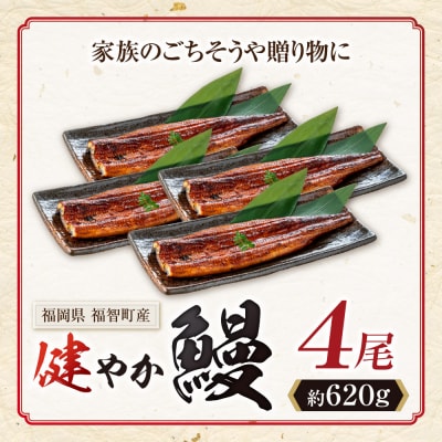 健やか鰻 国産うなぎ蒲焼(無頭)4尾(計620g以上)