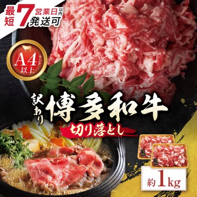 博多和牛 A4ランク以上 切り落とし 約1.0kg(500g×2P)