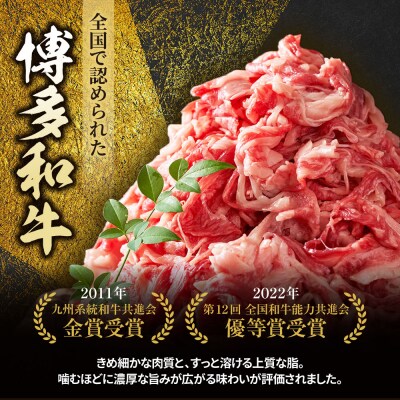 博多和牛100%ミンチ(挽肉)【訳あり】300g