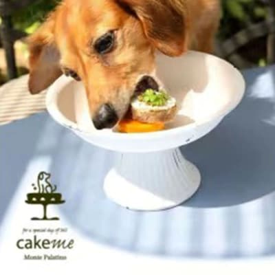 ペットフード(犬のおやつ) 人参とヨーグルトクリームのタルト 5個入り