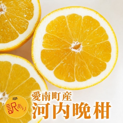【先行予約】 訳あり 河内晩柑 9kg+傷み補償500g  愛南ゴールド 愛媛県 愛南町 山口農園