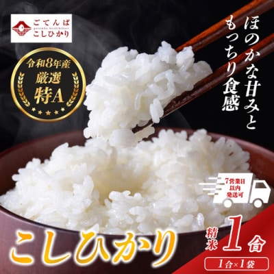 【令和8年産】 米 コシヒカリ 1合 精米 静岡県産 特A 小分け 高評価【先行予約】