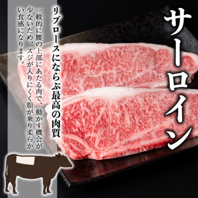 鹿児島和牛サーロインステーキ 合計400g