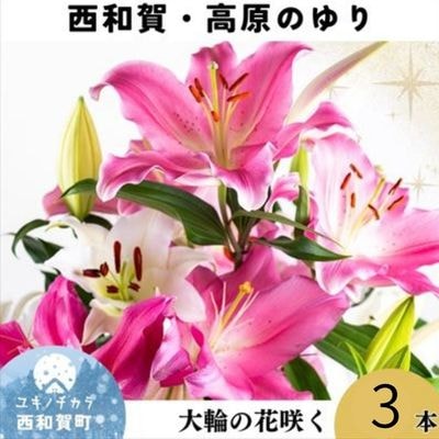 <期間限定11月30日迄>高原ふれあい産直　西和賀・高原のユリ 3本
