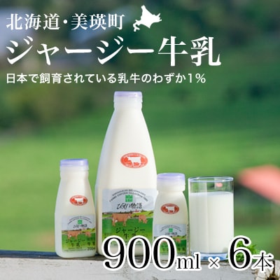 牛乳 希少なジャージー牛 900ml×6本 北海道 ファームズ千代田