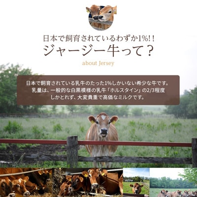 牛乳 希少なジャージー牛 900ml×6本 北海道 ファームズ千代田