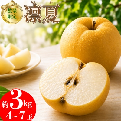 <2027年8月中旬頃～発送予定>凛夏 (約3kg/4～7玉) りんか 梨