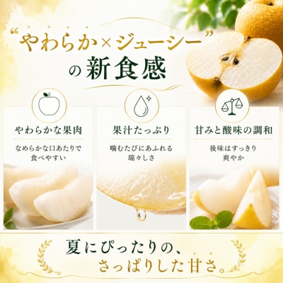 <2027年8月中旬頃～発送予定>凛夏 (約3kg/4～7玉) りんか 梨
