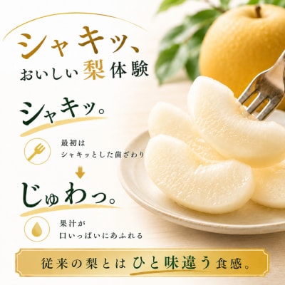 <2027年8月中旬頃～発送予定>凛夏 (約3kg/4～7玉) りんか 梨