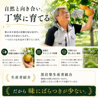 <2027年8月中旬頃～発送予定>凛夏 (約3kg/4～7玉) りんか 梨
