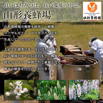 純粋蜂蜜 りんご蜜 500g FZ20-834