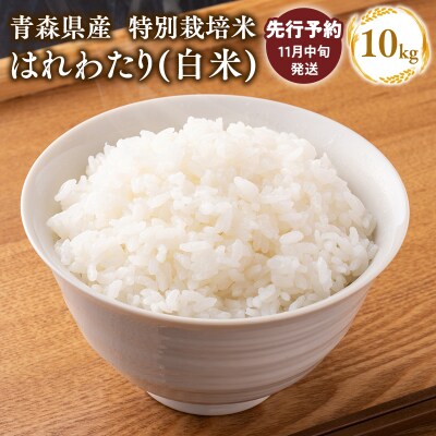 ≪令和8年11月発送≫　特別栽培米 はれわたり白米10kg【青森県 平川市】 