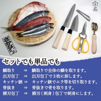 【さかなクン監修】魚君 3点セット (出刃包丁 鱗取り 骨抜き) 