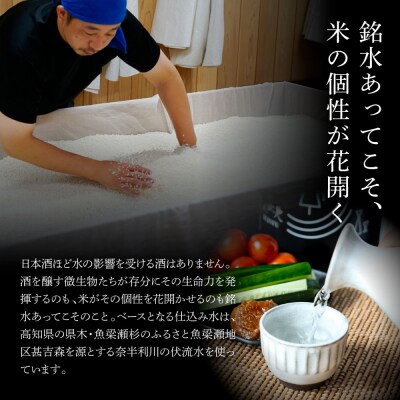 【四国一小さなまちの地酒】★ふるさと納税限定★美丈夫『田野ラベル』一升瓶2種×各1本 計2本セット